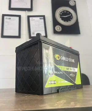 N70Z Gold Star Car Battery