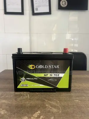 N70Z Gold Star Car Battery