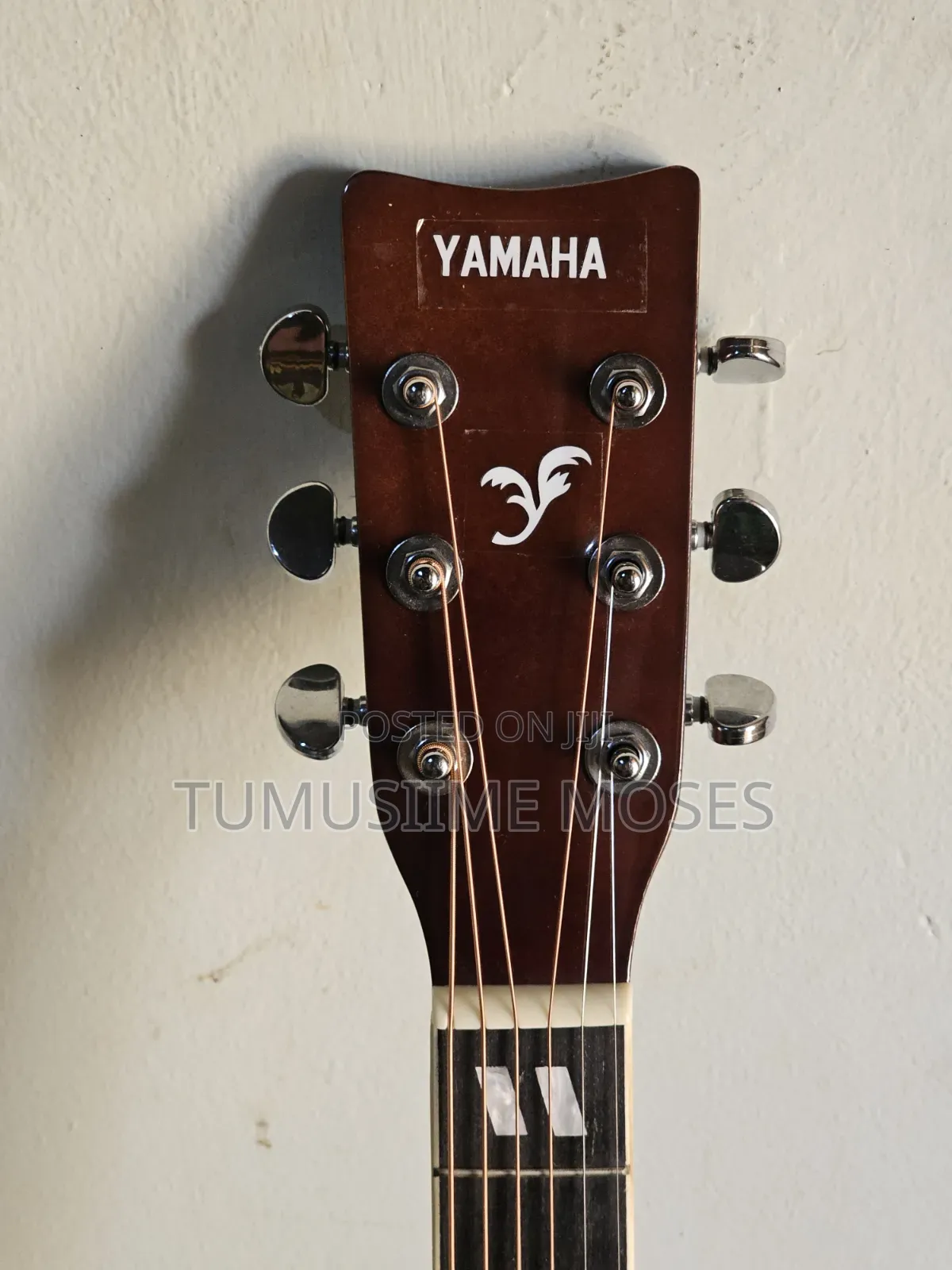 Acoustic Amplified Guitar