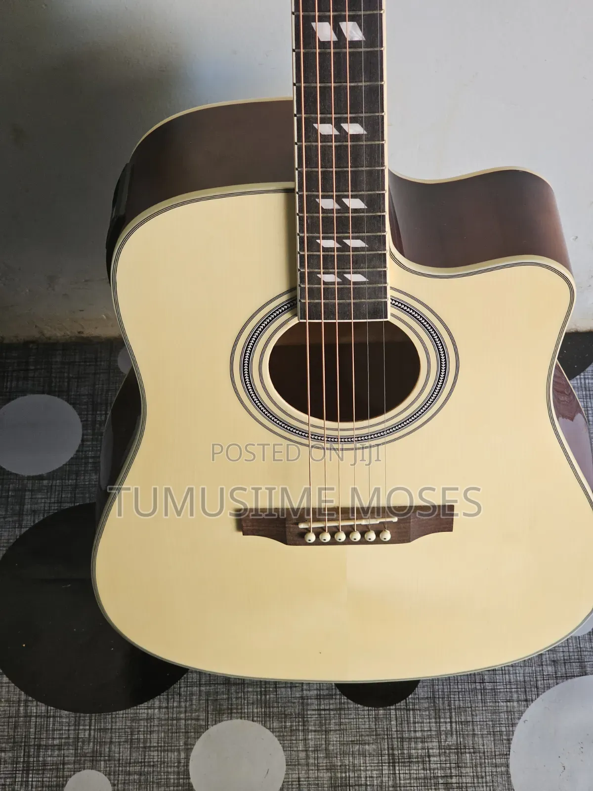 Acoustic Amplified Guitar