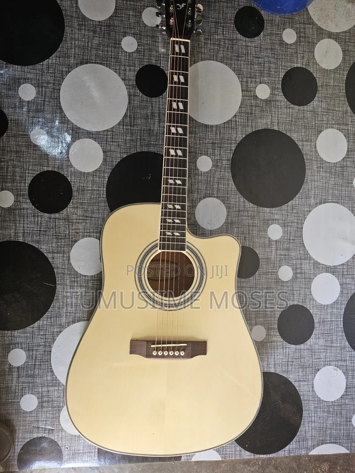 Acoustic Amplified Guitar