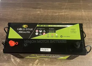 N100 Gold Star Car Battery