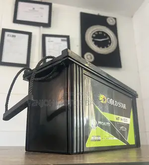N100 Gold Star Car Battery