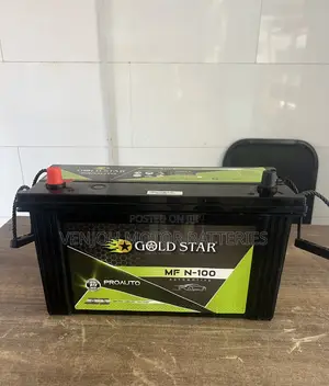 N100 Gold Star Car Battery