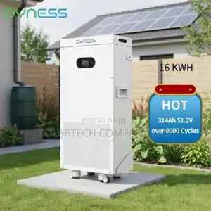 Dyness 16kWh LiFePO4 Battery | 8000+ Cycles | 10-Year Warranty