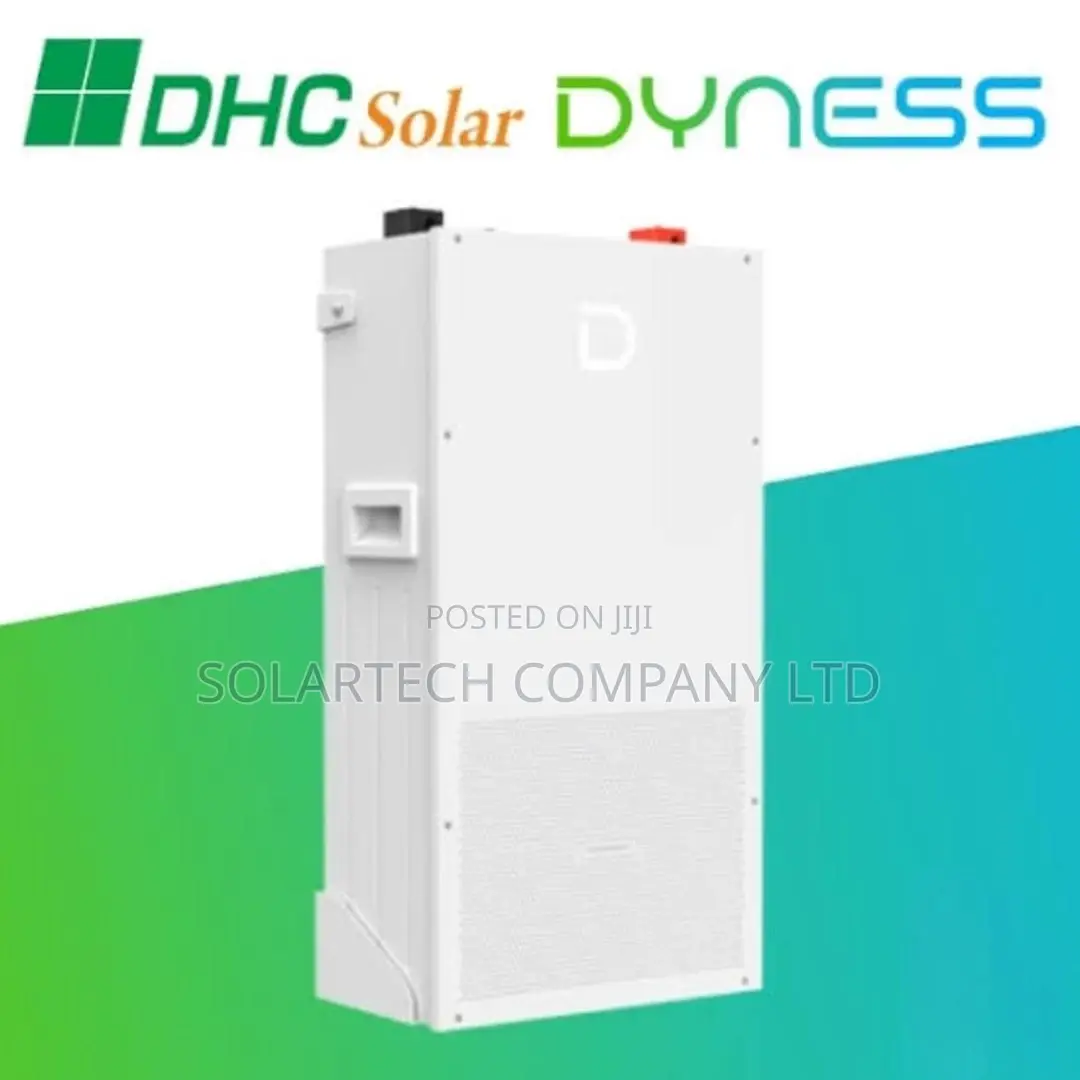 Dyness 314Ah 16kWh Solar Battery | Smart BMS Protection