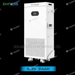 Premium 16kWh Lithium Iron Phosphate Battery| Dyness| 10-Year Warranty