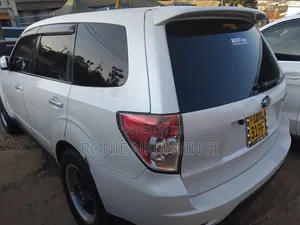 Toyota Land Cruiser 2009 Gray