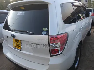 Toyota Land Cruiser 2009 Gray