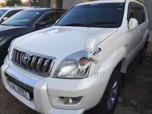 Toyota Land Cruiser 2009 Gray