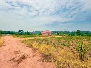 Busukuma Estate