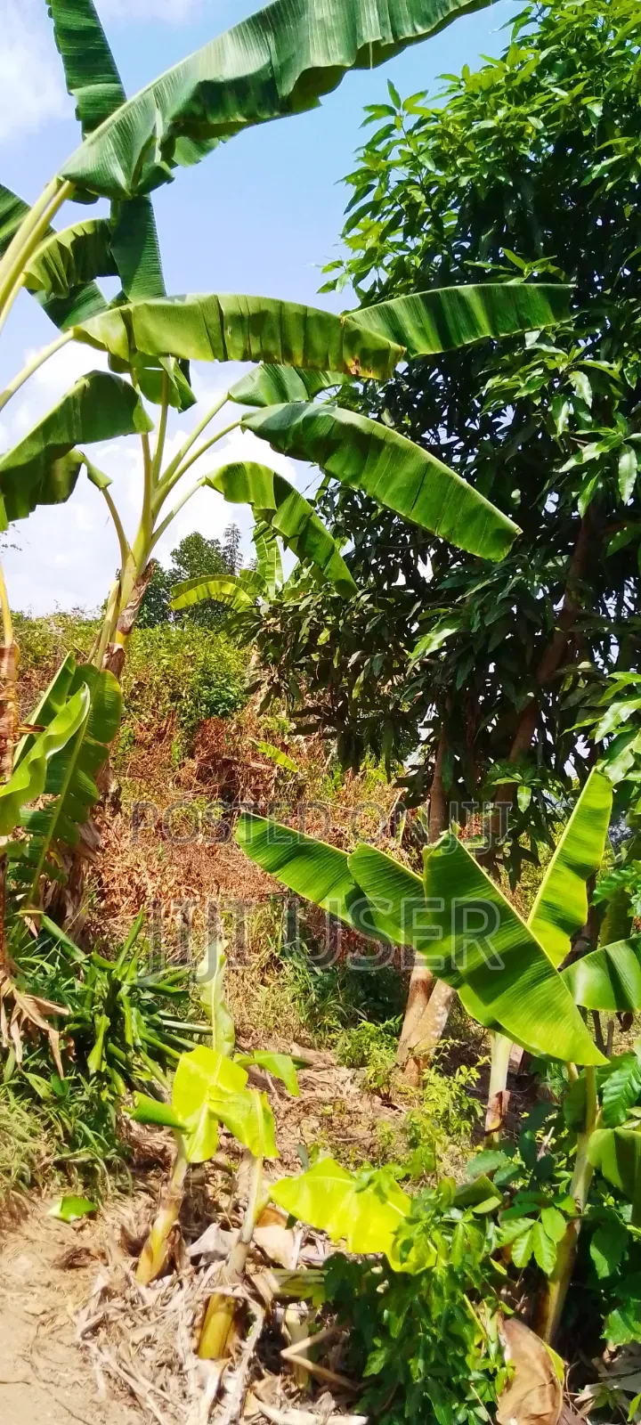 Plot for Sale 80 X130 Ft Zirobwe Wakatayi 20m
