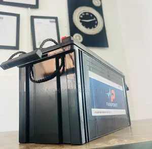 N100 Panapower Car Battery