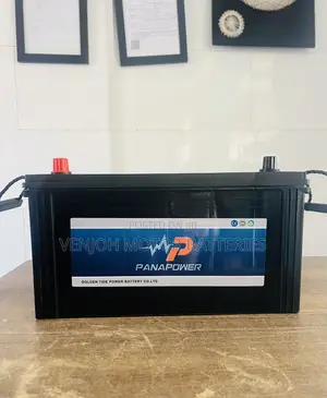 N100 Panapower Car Battery