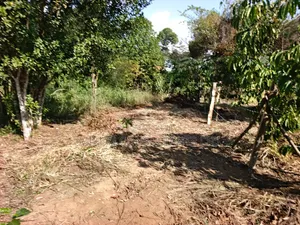 3.5 Acres in Kikyusa at Only 13m Per Acre