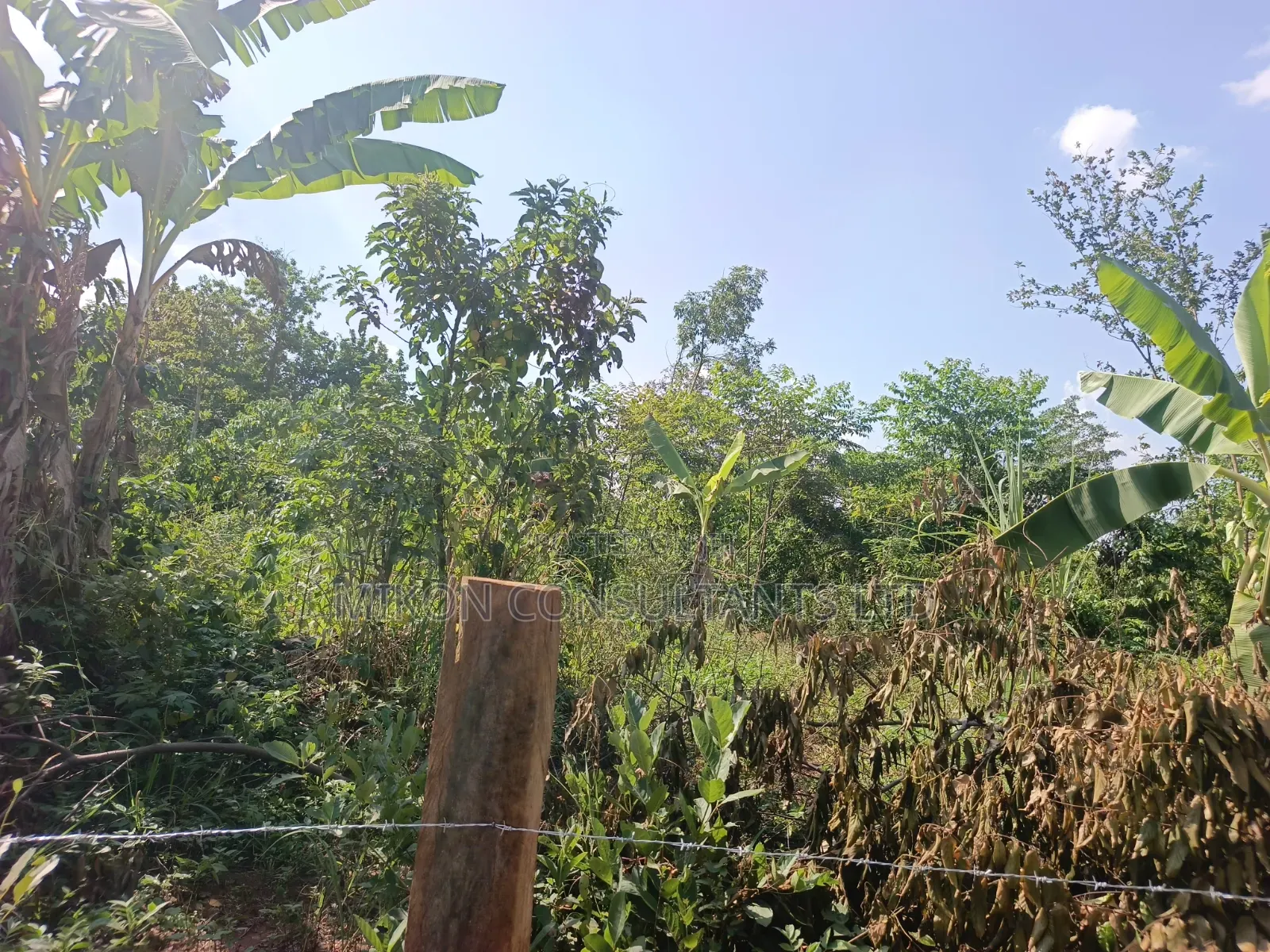 3.5 Acres in Kikyusa at Only 13m Per Acre