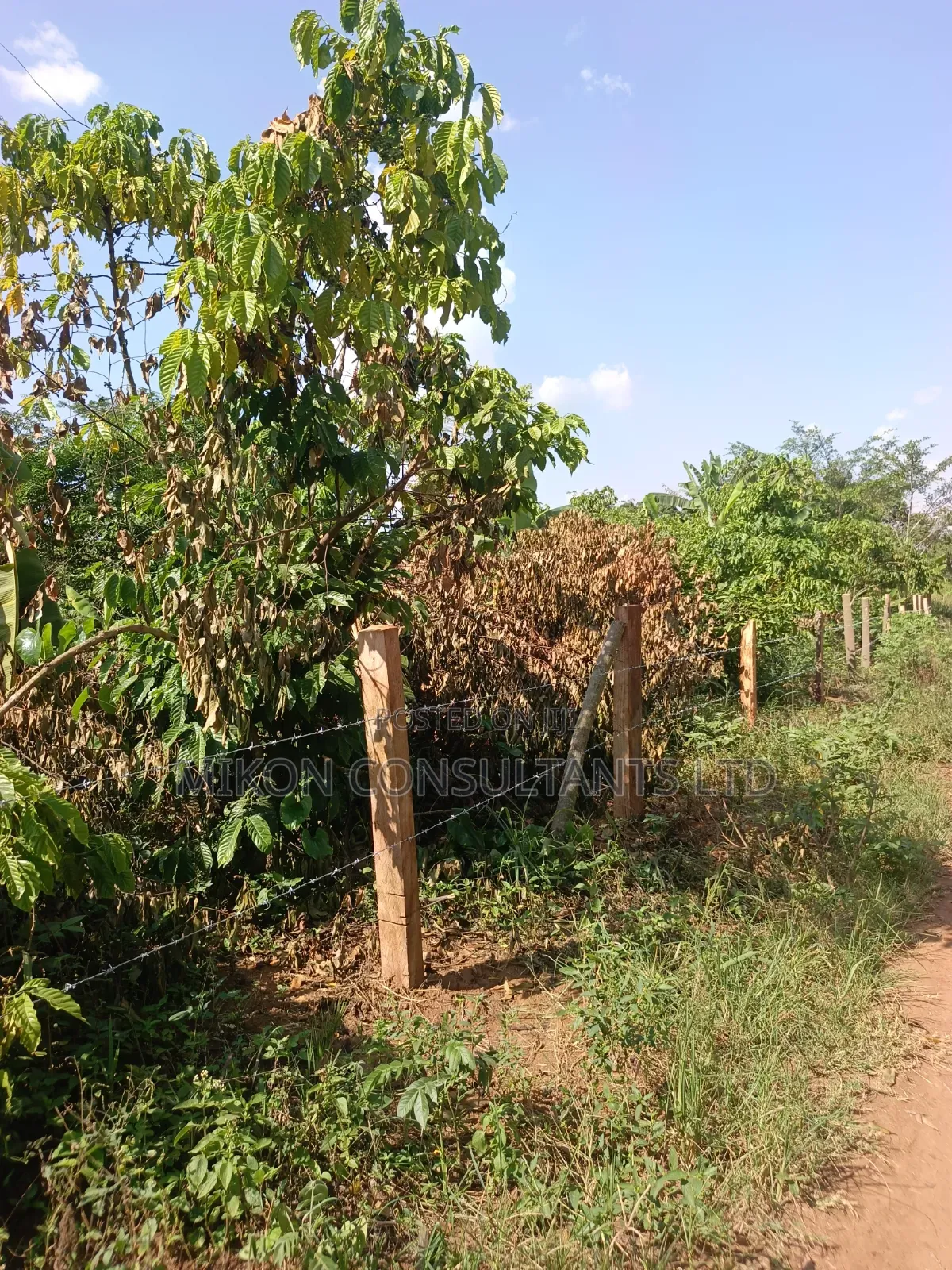 3.5 Acres in Kikyusa at Only 13m Per Acre