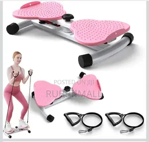Waist Twister Fitness Machi