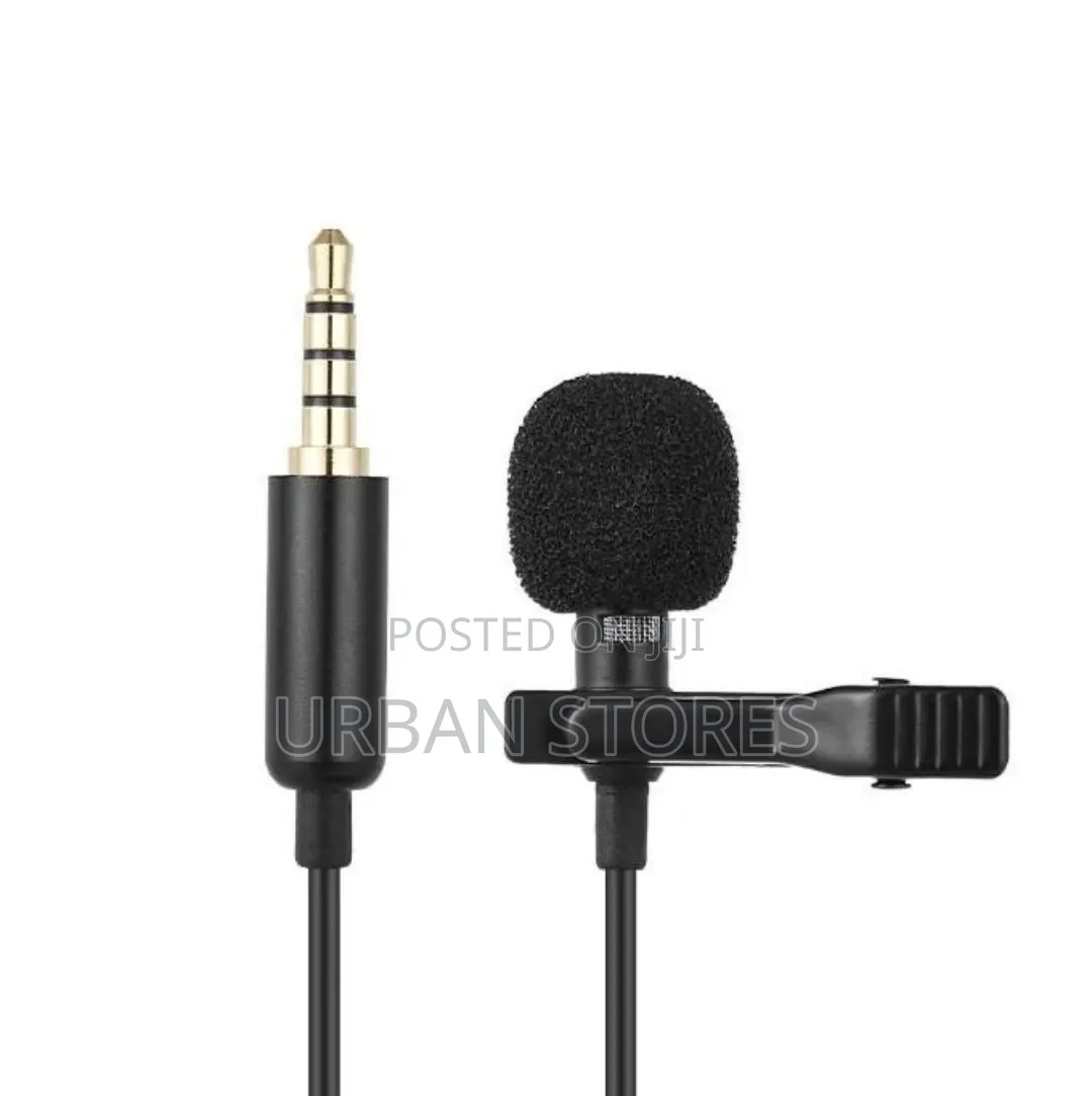 Lavalier Professional Dual Mini Microphone Collar Clip Microphone