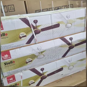 Indian Ceiling Fan