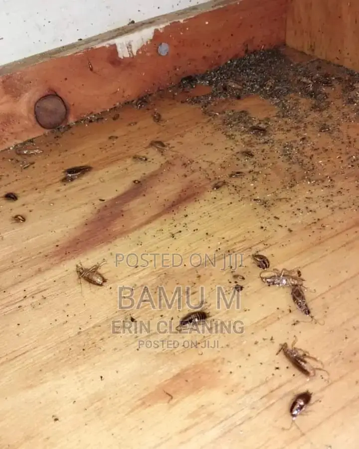 Fumigation Pest Control Services – Say Goodbye to Pests!