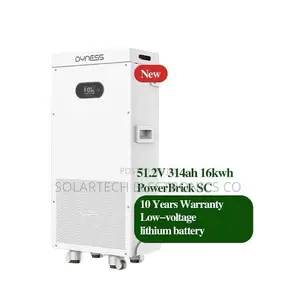 2. 3kWh Dyness Lithium Battery With Smart BMS | 8000 Cycles