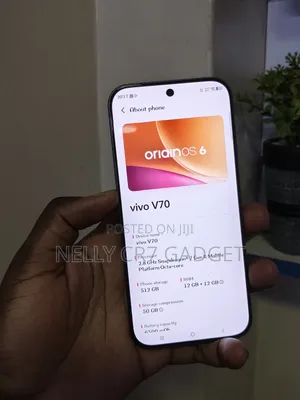 Vivo V70 512 GB Gray