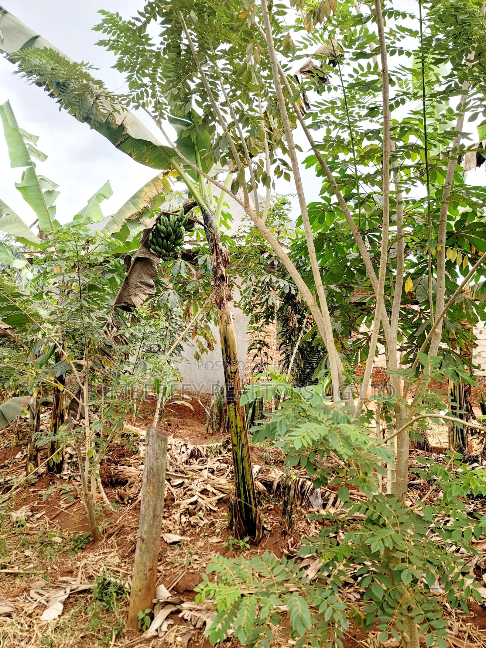 Land for Sale – Nazigo, Kayunga–jinja Road
