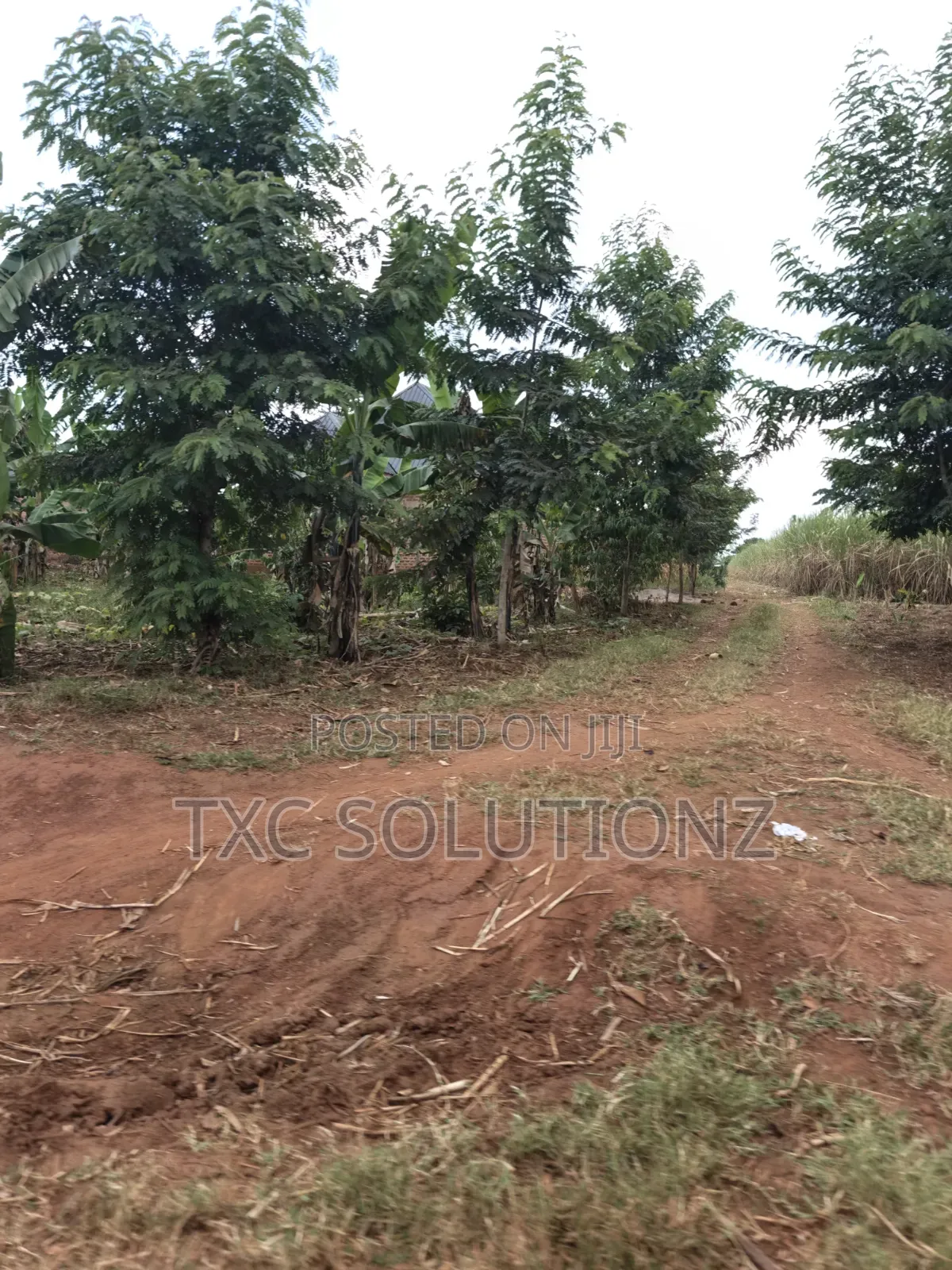 Plots for Sale in Kagoma