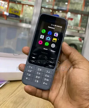 New Nokia 6300 Gray