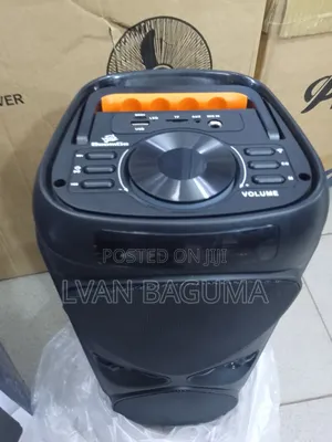 BoomGo BG-7404 Wireless Portable Bluetooth Party Speaker