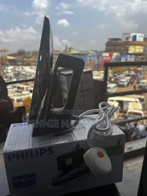 Phillips Original Flat Iron