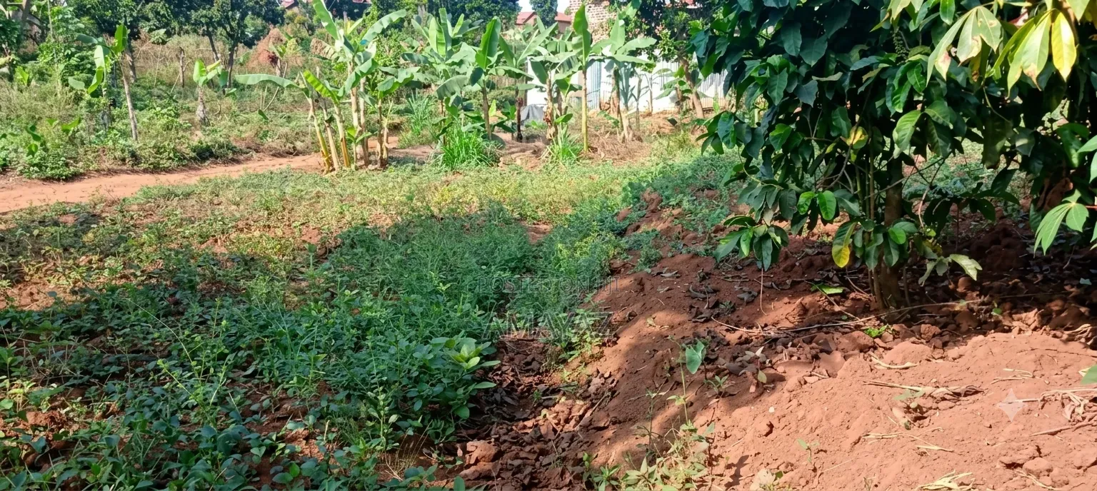 Tuitle Land for Sale Kaliiti Wakiso Bakka Road Off Hoimah Rd