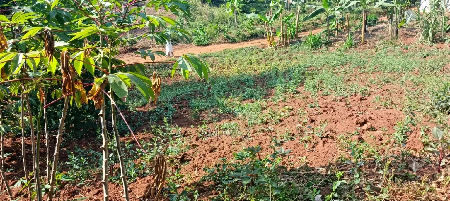 Tuitle Land for Sale Kaliiti Wakiso Bakka Road Off Hoimah Rd