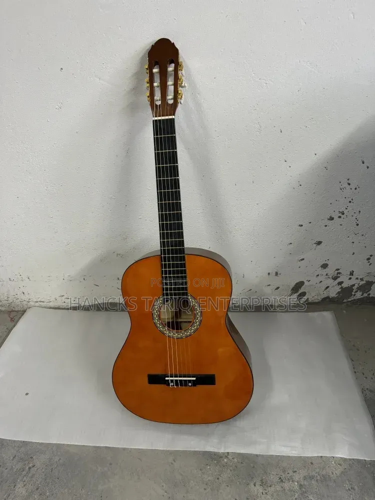 Features of This Acoustic-Electric Guitar