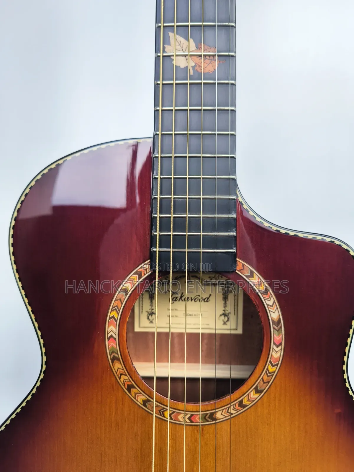 Features of This Acoustic-Electric Guitar