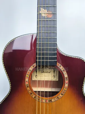 Features of This Acoustic-Electric Guitar