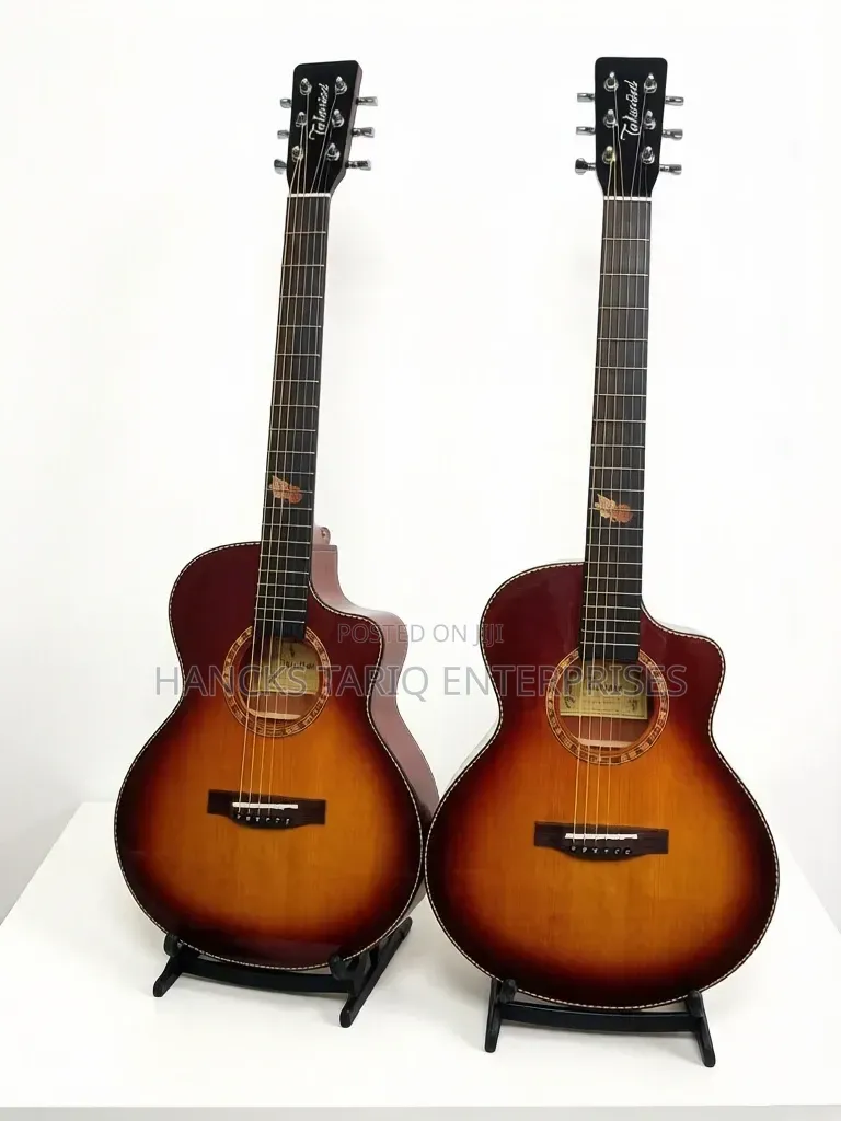 Features of This Acoustic-Electric Guitar