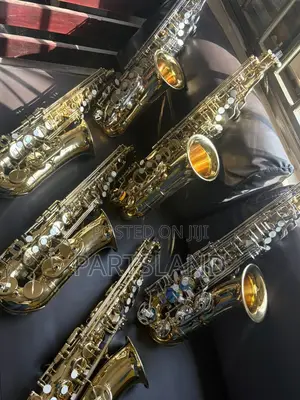 Alto and Soprano Saxophones