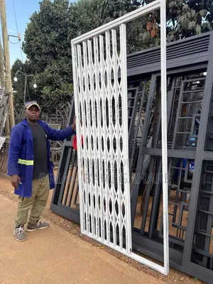 Collapsible Door