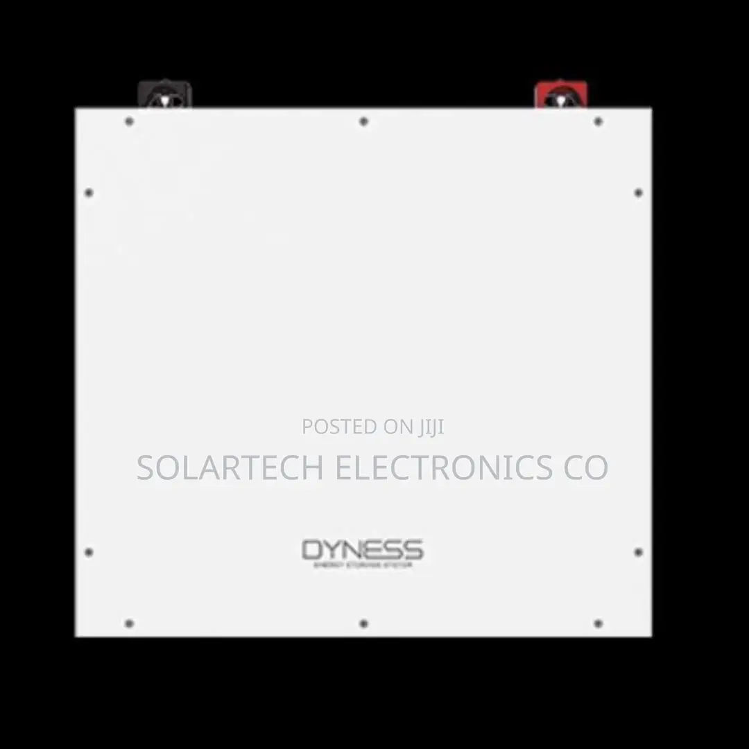 5kWh Dyness LiFePO4 Solar Battery 48V With Smart BMS