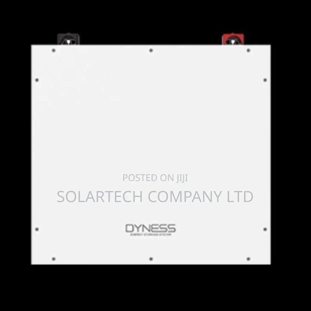 5kWh Dyness LiFePO4 Solar Battery 48V With Smart BMS