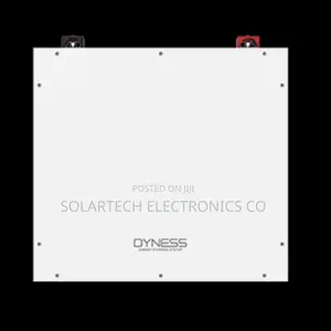5kWh Dyness LiFePO4 Solar Battery 48V With Smart BMS