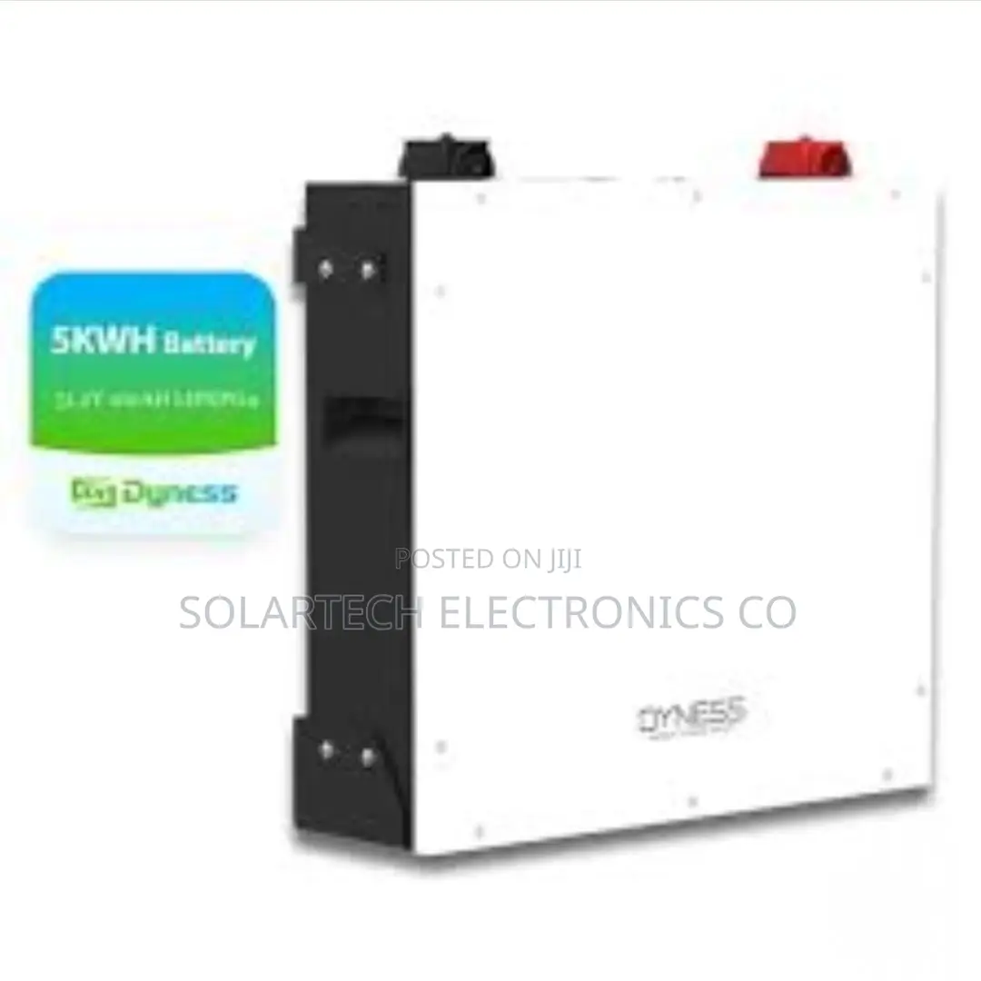 Reliable Dyness 100ah 5kWh 48V Lithium Battery for Home Backup