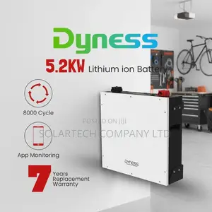 Dyness 5kWh 48V Lithium Battery Compatible for All Inverters