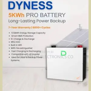 Dyness 5kWh 48V Lithium Battery Compatible for All Inverters