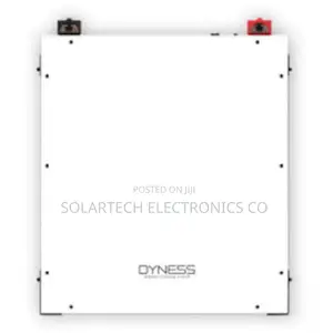 Premium 48V 5kWh Dyness Battery With App Monitoring BMS NTS
