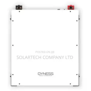Premium 48V 5kWh Dyness Battery With App Monitoring BMS NTS