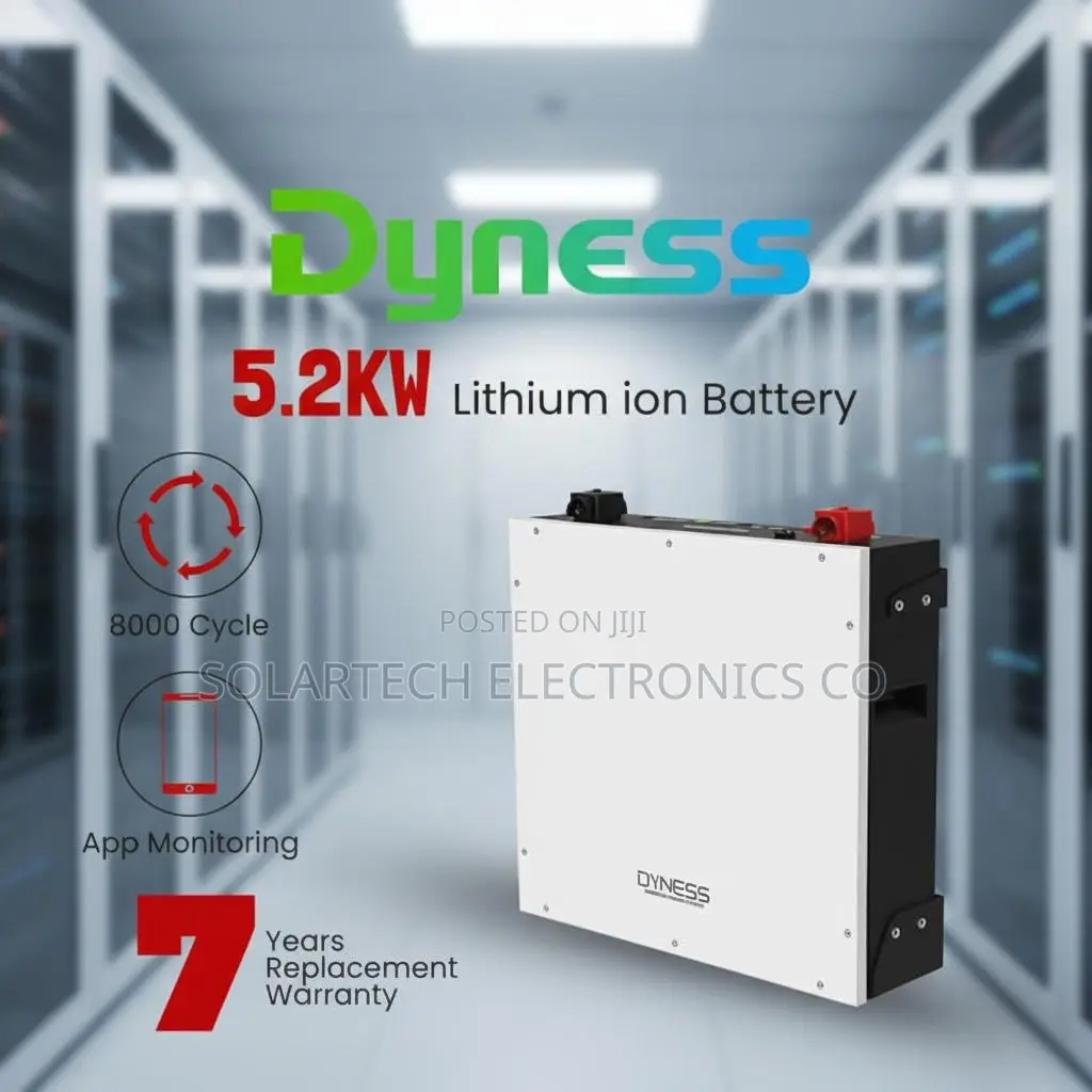 Premium 48V 5kWh Dyness Battery With App Monitoring BMS NTS