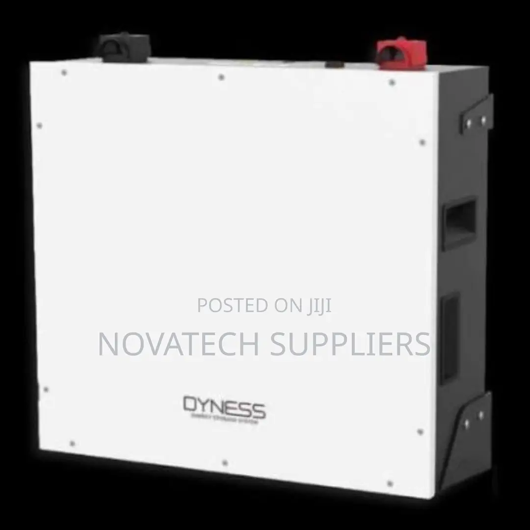 Dyness 5kWh 48V Lithium Battery | 8000 Cycles | 7-Year Warranty